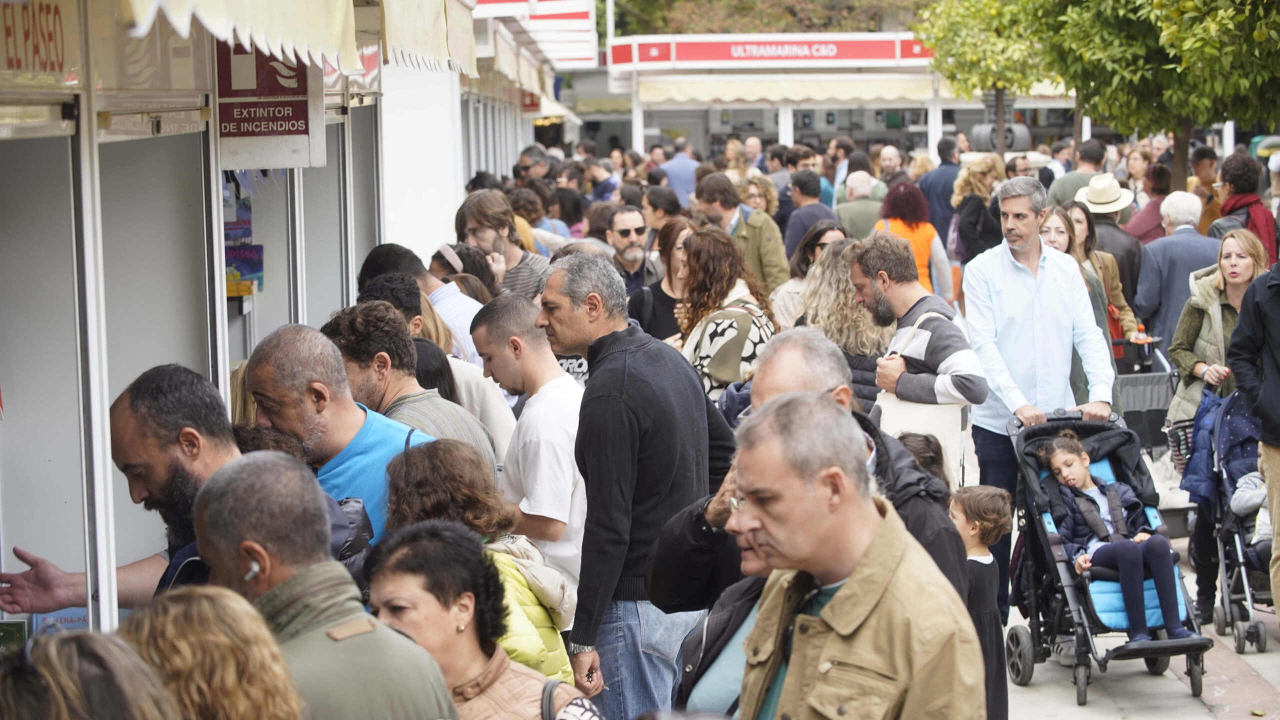 ambiente_festivo1nov_